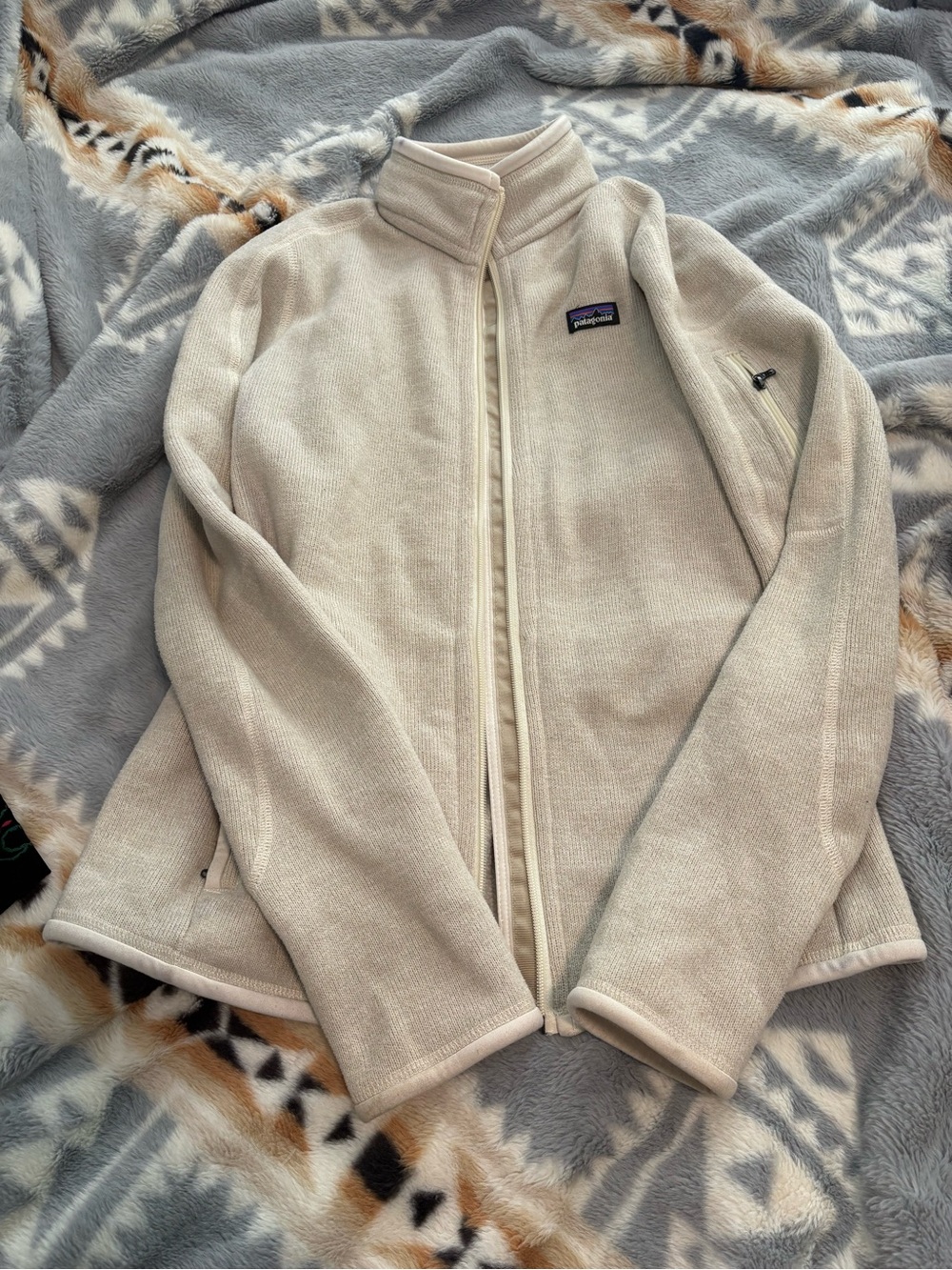 Patagonia Women’s Cream Full-Zip Teddy Fleece Jacket